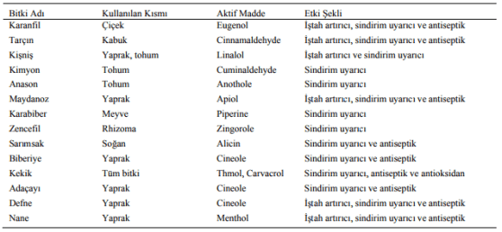 Aromatik Bitkilerde Etken Madde