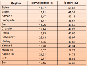 Ceviz - İç Verim Tablosu