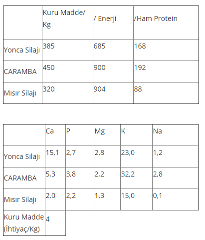 Yem Bitkiler Besin Değerleri