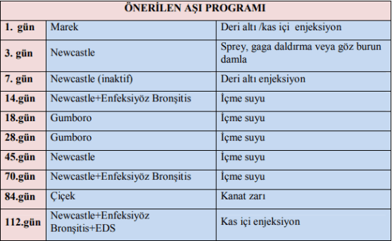 Tavuklarda Aşı Programı.PNG